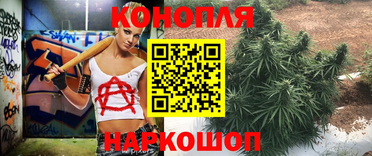 Бошки марихуана конопля Челябинск
